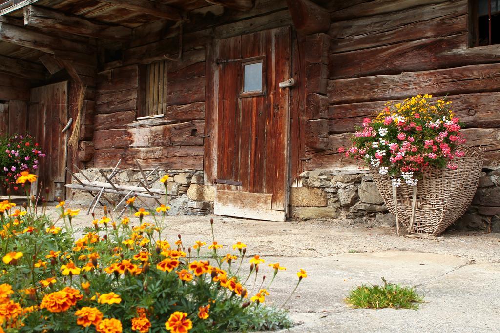 Albergo Riglarhaus Sauris Exteriör bild